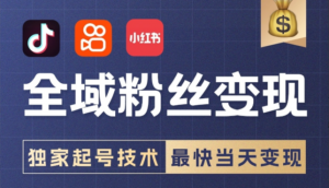 【全域粉丝变现计划】多套起号模板,最快当天变现!-工具箱