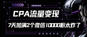 CPA流量变现7天加爆两个微信10000粉【引流附详细教程】-工具箱