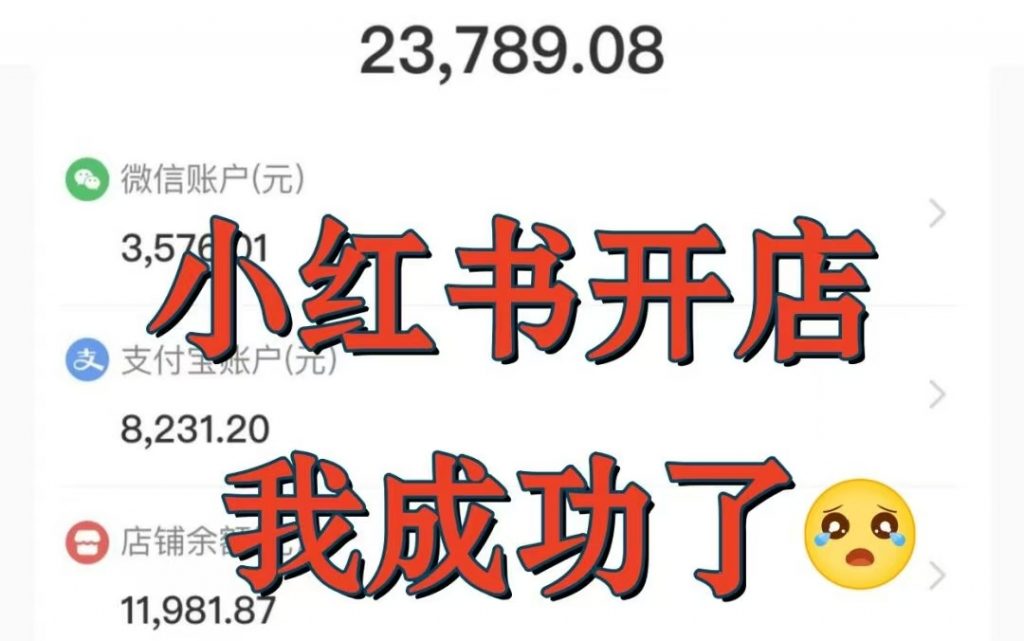 小红书新电商无货源实战玩法【虚拟玩法可同步】-工具箱