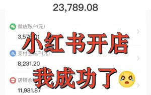 小红书新电商无货源实战玩法【虚拟玩法可同步】-工具箱