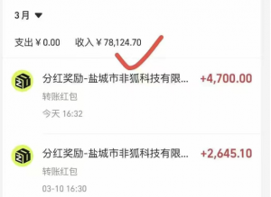 消费即股东,2025全网最野消费致富风口玩法——锦鲤趣链-工具箱