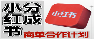 【小红书分成】商单合作计划 ,简单操作月入4-5位数 -工具箱